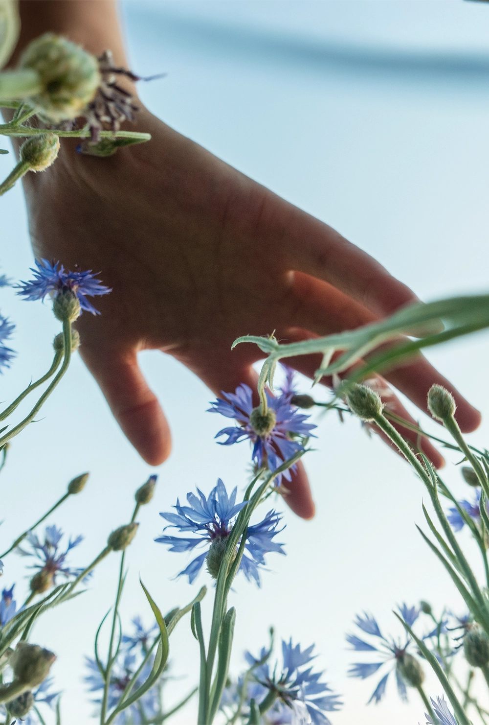 Soir & Matin | Des chaussons de qualité supérieures, respectueux de l'environnement et accessibles